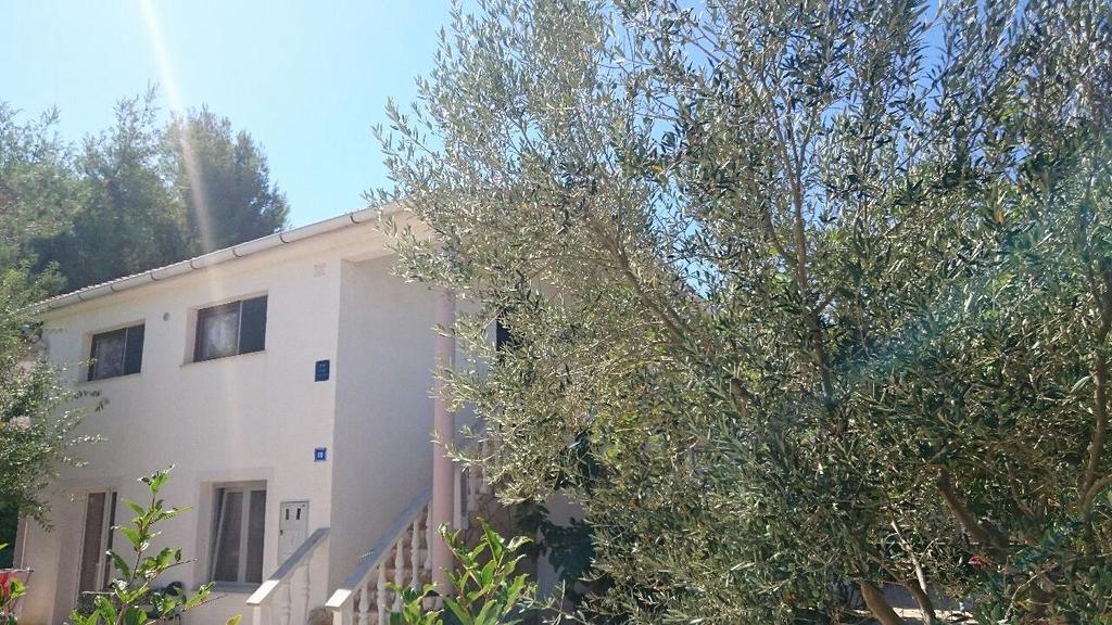 Apartments Mas-Rafaj Vir Zewnętrze zdjęcie